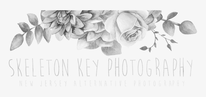 Skeleton Key Photography - Garden Roses, transparent png download