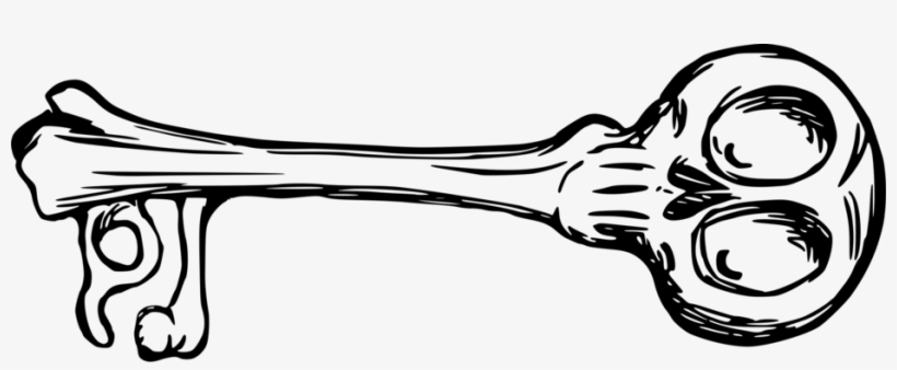 Human Skeleton Bone Skeleton Key Skull - Skeleton Key Clipart, transparent png download
