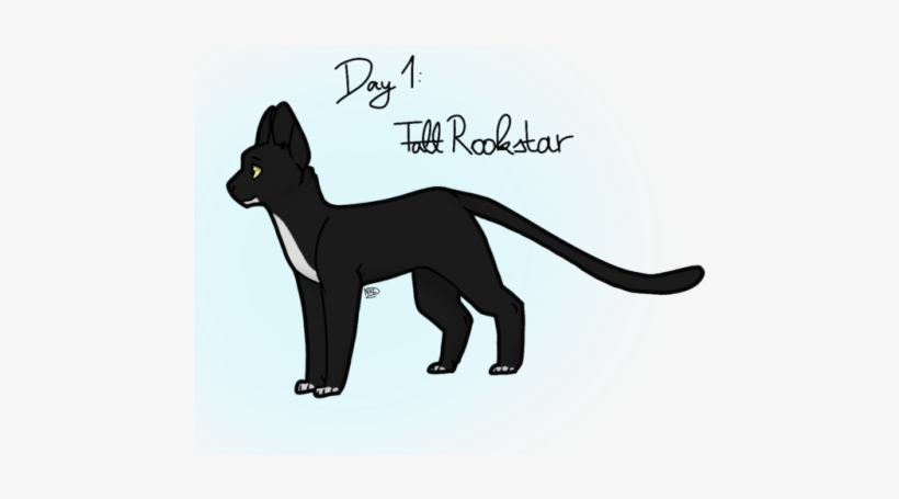 Cat, transparent png download
