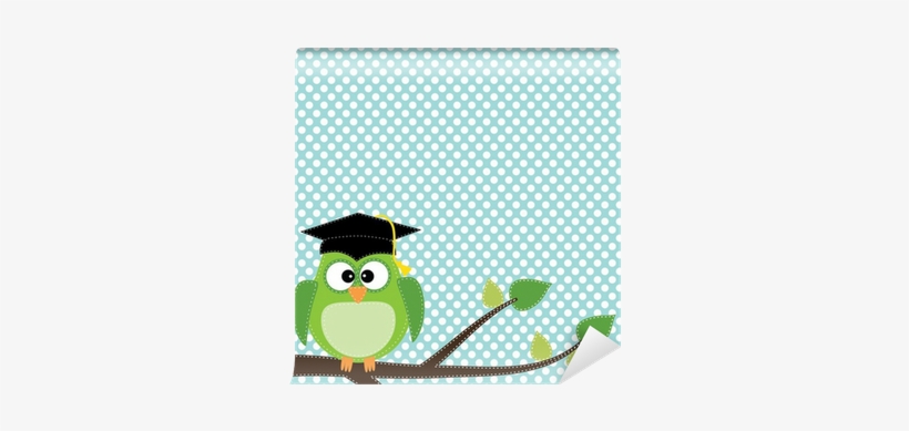 Owl With Graduation Cap Sitting On Branch Wall Mural - Imagem De Coruja Com Capelo, transparent png download