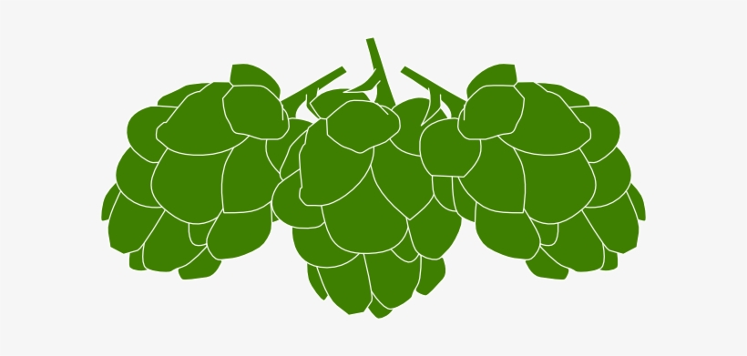 Hops Png, transparent png download