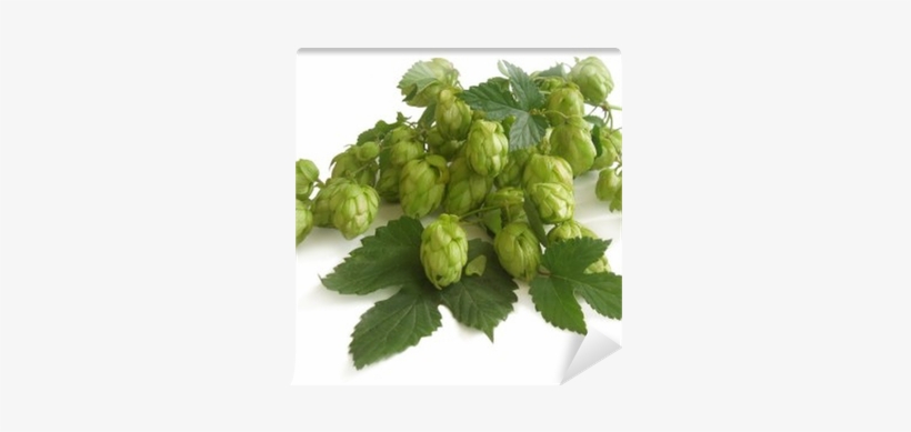 Gooseberry, transparent png download