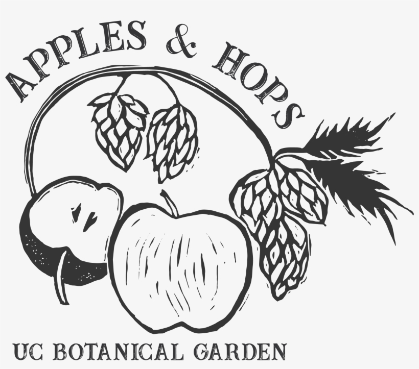 Original Size Is 2610 × 2213 Pixels - Hops, transparent png download