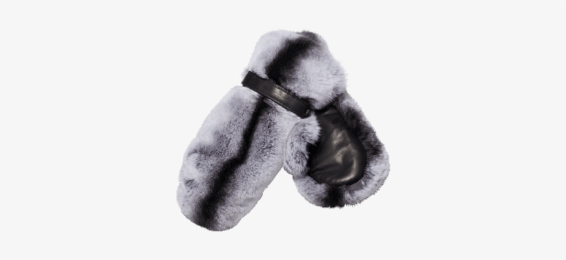 Massa Rex - Fur Clothing, transparent png download