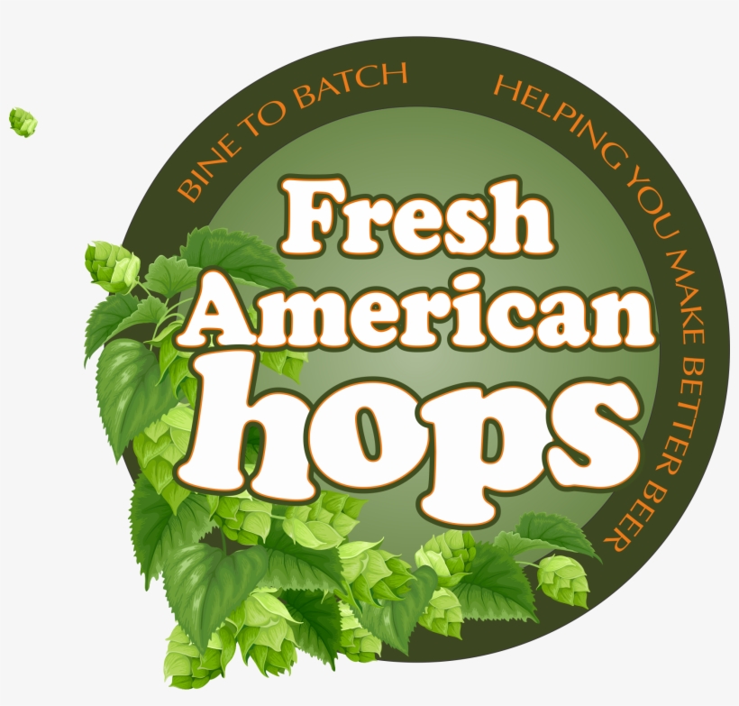 Fresh American Hops - Common Hop, transparent png download
