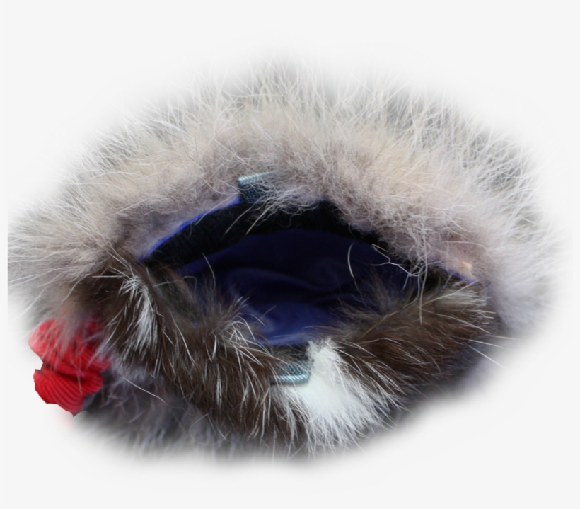 Predator-prey Bungee Reward Pouch Coyote & Rabbit, transparent png download