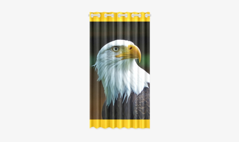 Bald Eagle Head 001 - Antonio Marras, transparent png download