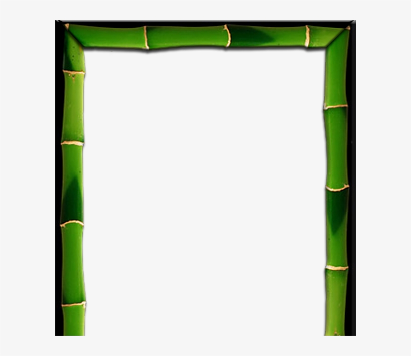 Bamboo Frame 2 - Picture Frame, transparent png download