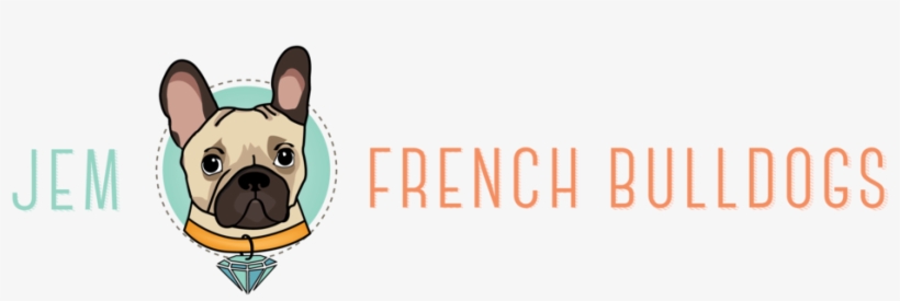 French Bulldog Png, transparent png download