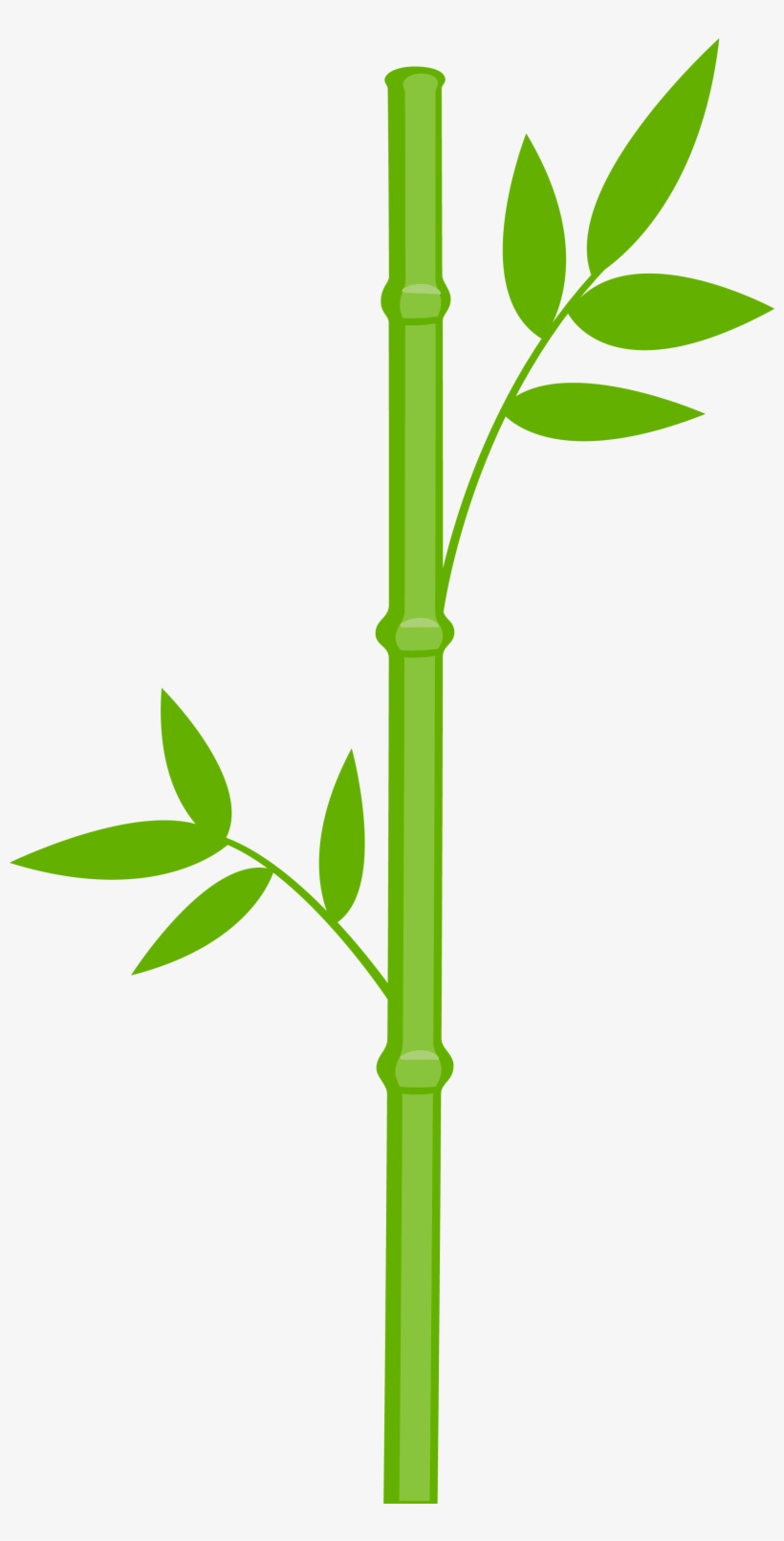 Panda Bear Png Minus - Bamboo Clipart, transparent png download