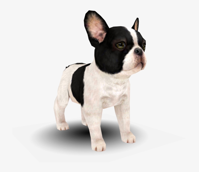 Download Zip Archive - French Bulldog, transparent png download