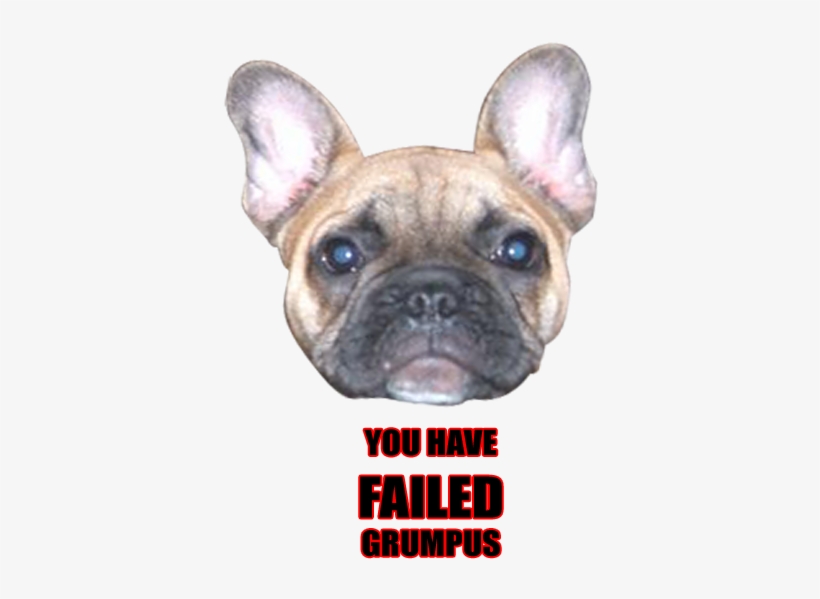 14 Mar - French Bulldog, transparent png download