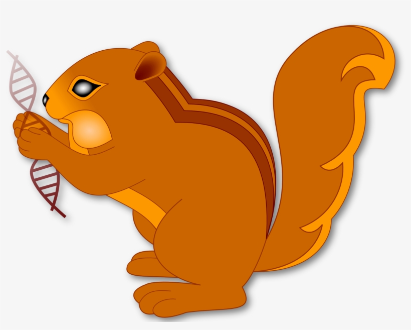 Svg, Hi-res Png - Squitten, transparent png download