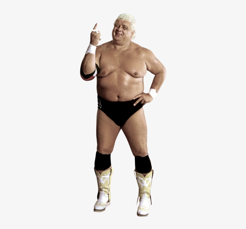 Dusty Rhodes - Wwe Dusty Rhodes Png, transparent png download