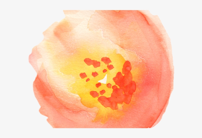 Peach Flower Clipart Flower Petal - Watercolor Clipart Transparent, transparent png download