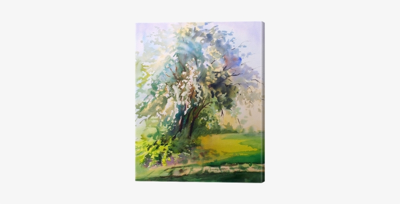 Watercolor Painting Of The Blooming Spring Tree Canvas - Watercolor Painting, transparent png download