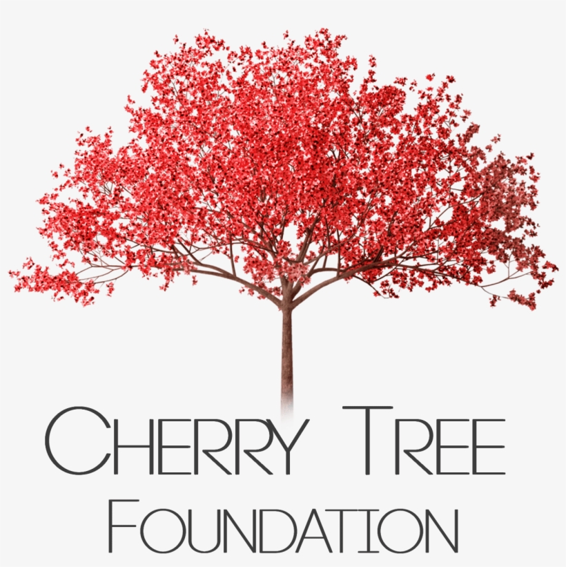 Cherry Tree Png - Pink Flowering Tree Png, transparent png download