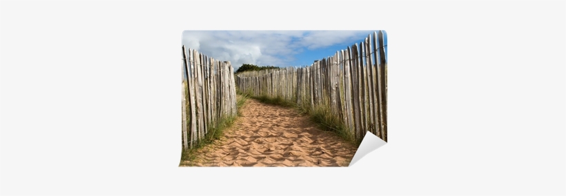 A Sandy Path In Dunes With Wooden Fence Wall Mural - Boardwalk, transparent png download