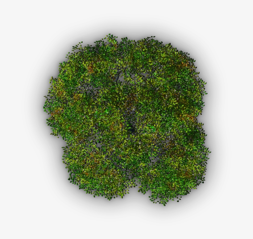 Tree Jrl4a - Terrain, transparent png download