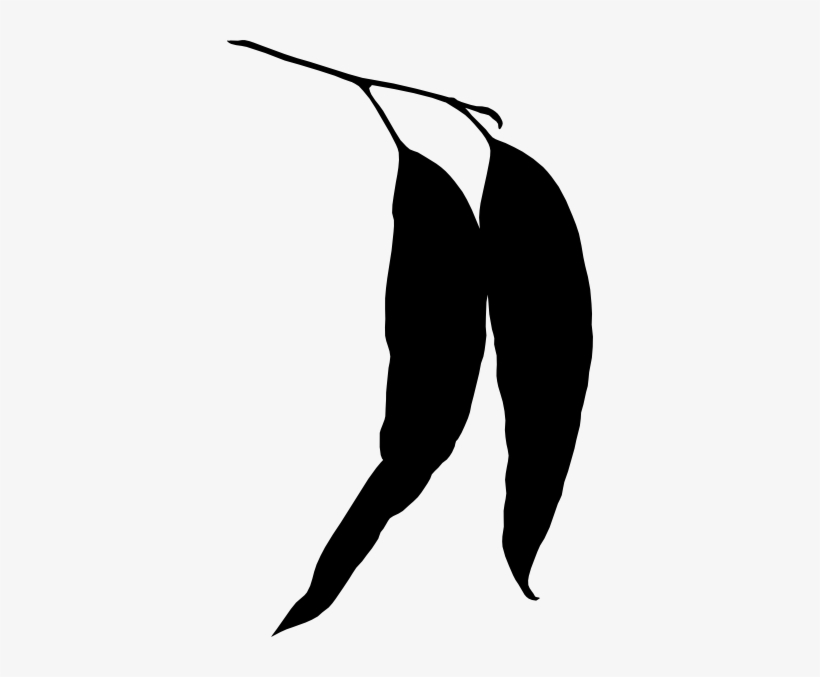 Eucalyptus Clipart Transparent - Eucalyptus Leaf Silhouette, transparent png download
