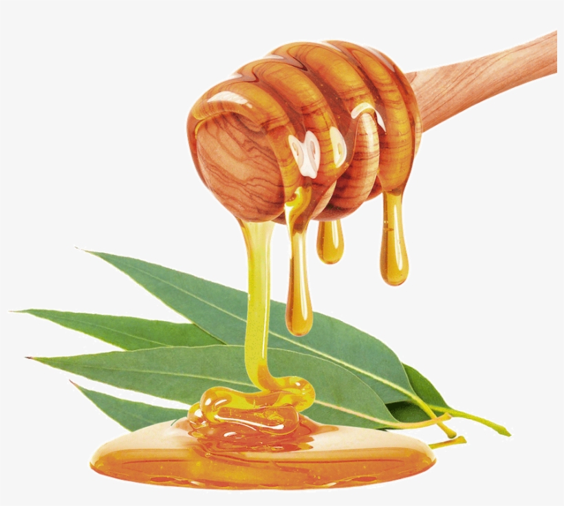 It Also Has Beneficial Effects On The Respiratory System - Deluvia, Inc. Manuka Honey Cream Active 16+ (4oz) Enriched, transparent png download