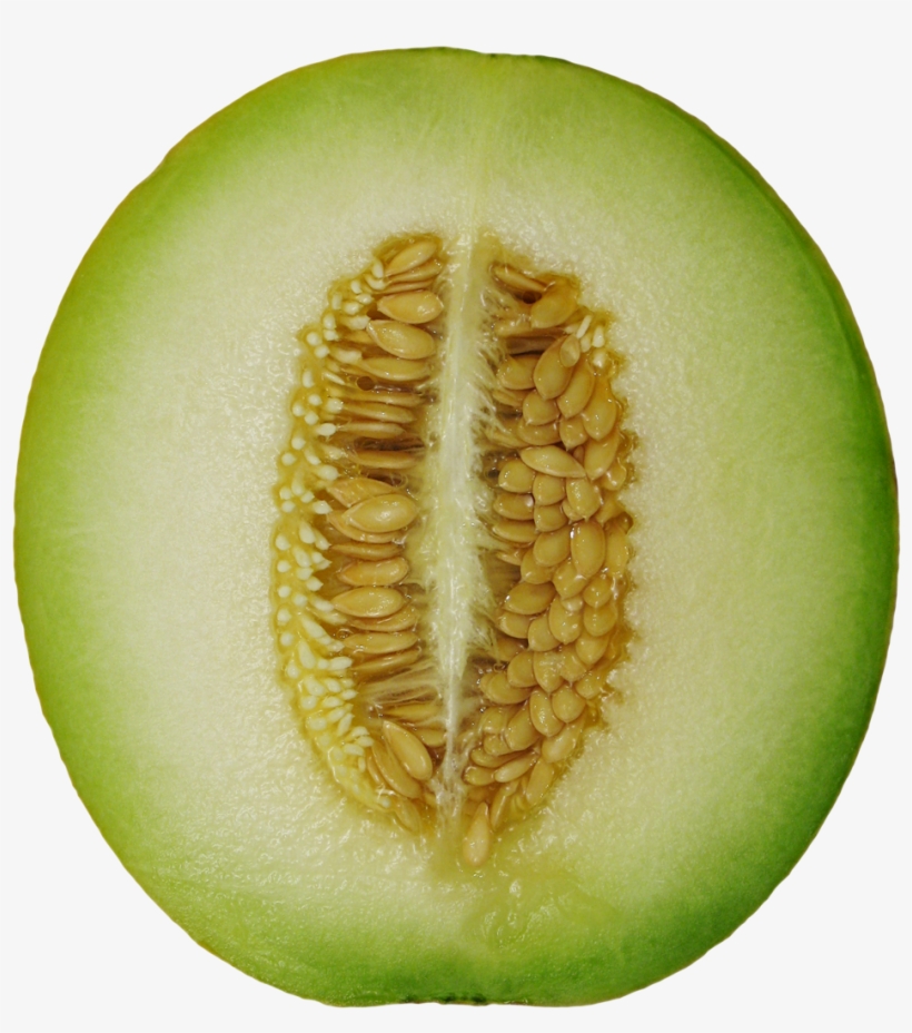 Winter Melon Png Image - Winter Melon Png, transparent png download