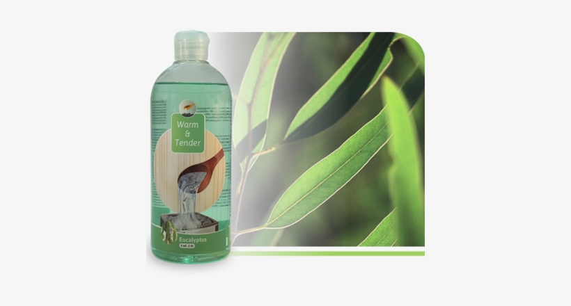 Refreshing - Sauna Opgiet Eucalyptus, transparent png download