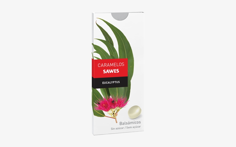 Share - Sawes, transparent png download