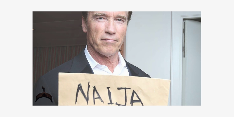 Naija Gist Special See The Portrait Arnold Schwarzenegger - Businessperson, transparent png download