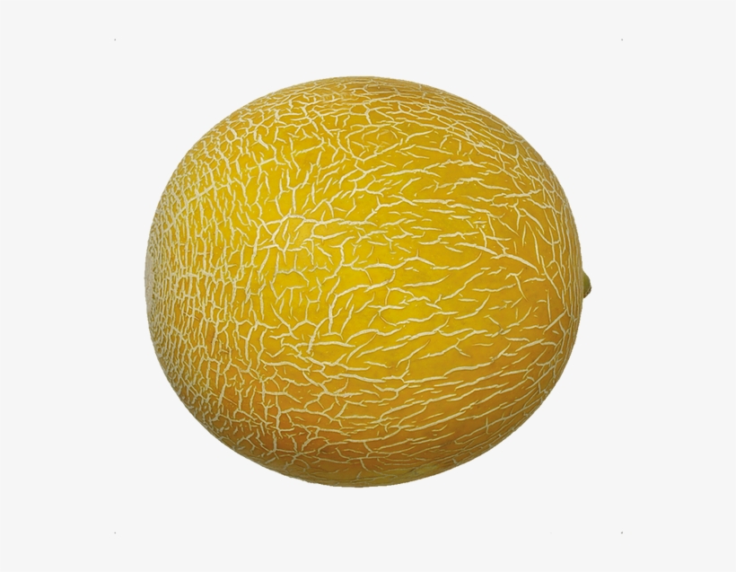 Galia - Honeydew, transparent png download