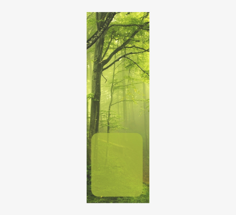 Practice Hours - Mystery Of Fairy Tales, transparent png download