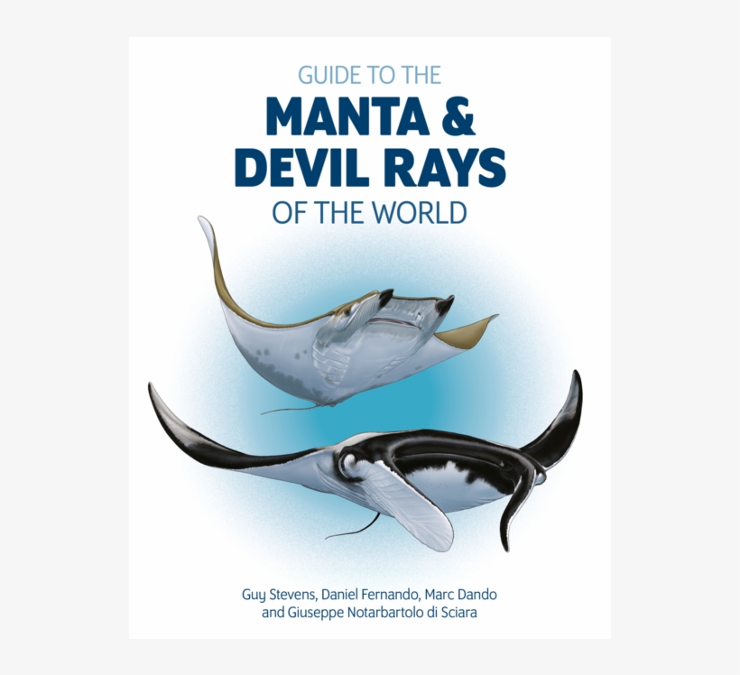 Mt Website Shop Guide To Manta & Devil Ray Thumbnail - Guide Manta And Devil Rays Of The World, transparent png download