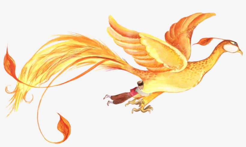 Boy, transparent png download