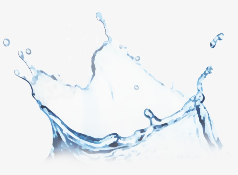 Share - Still Life Photography, transparent png download