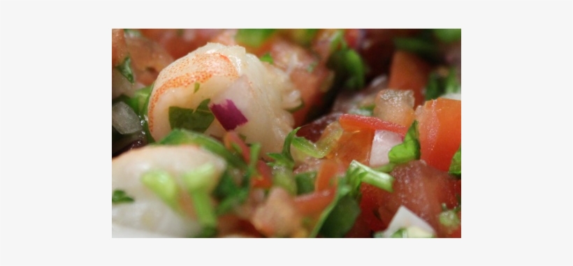 Shrimp, transparent png download