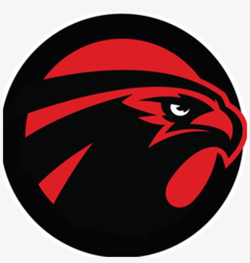 Atlanta Falcons Facts - Sb Nation Falcoholic, transparent png download