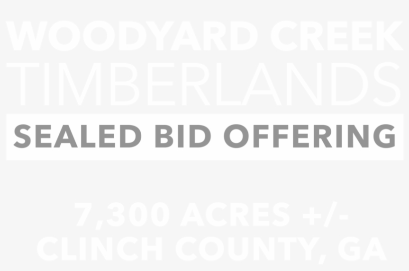 Wyclogo Revised Nomark, transparent png download