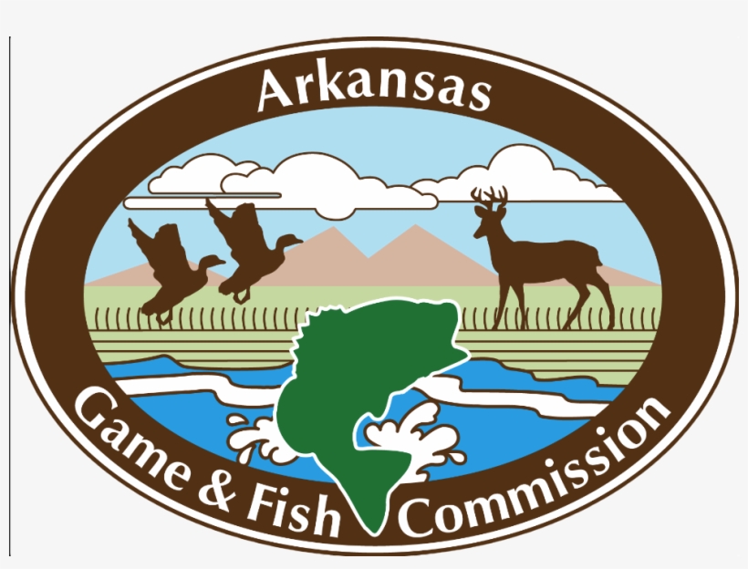 Public Duck Hunting In Ne Arkansas - Arkansas Game And Fish Commission, transparent png download