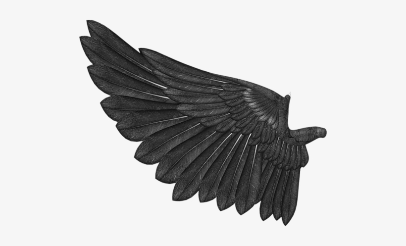 Related Wallpapers - Color, transparent png download