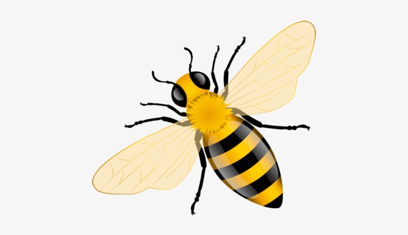 Bee Crafts, Ladybug Crafts, Buzz Bee, Bee Jewelry, - Bee Vector, transparent png download