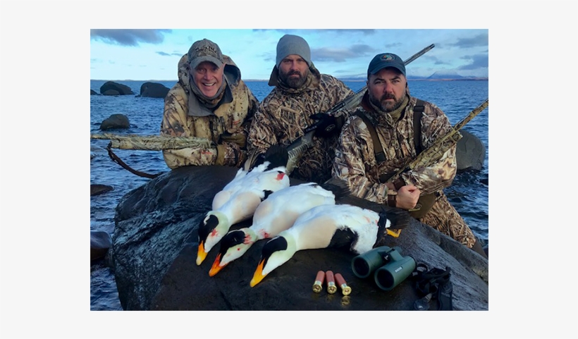 Alaska Sea Duck Hunting - Alaska, transparent png download