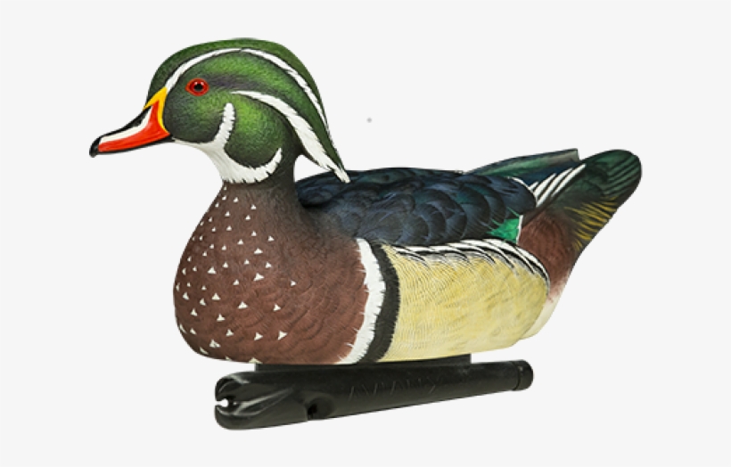 Avian X Top Flight Wood Duck - Flextone Wood Duck Decoys, transparent png download