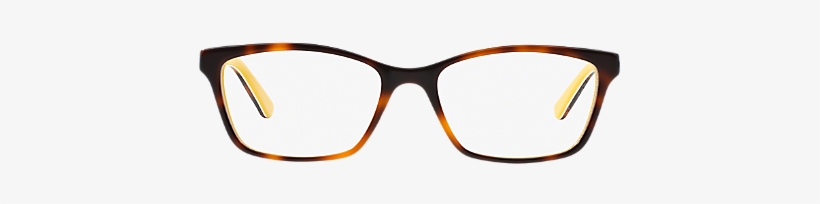 Image Royalty Free Ra Shop Ralph Tortoise At Lenscrafters - Glasses High Resolution, transparent png download