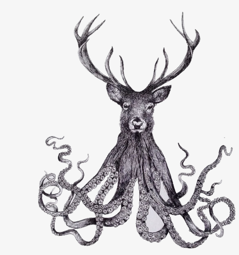 Banner Black And White Download Paper Illustrator Illustration - Deer Drawing Pen, transparent png download