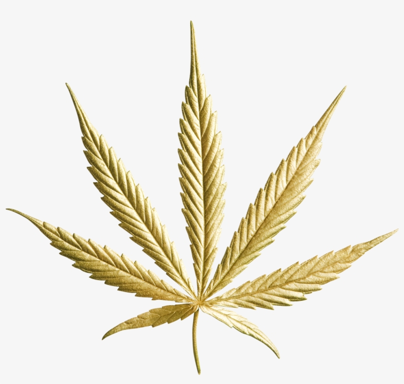 Goldmarijuanaleaf1-9 - - Gold Cannabis Leaf Png, transparent png download