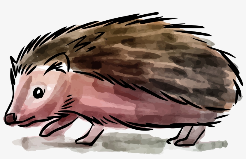 Hedgehog Painting Drawing - Vector Graphics, transparent png download