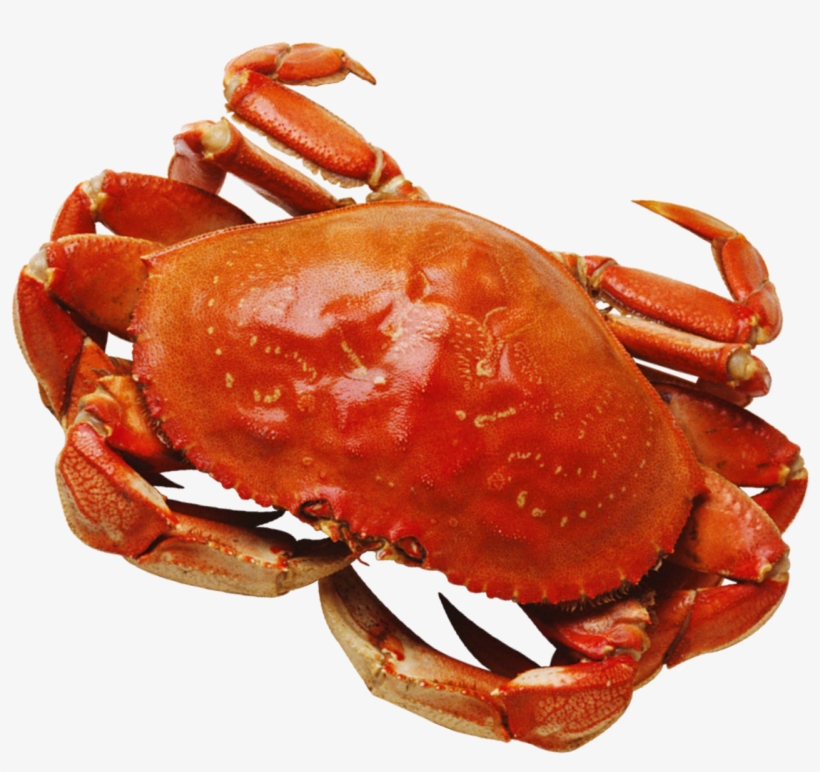 Crab Png, transparent png download