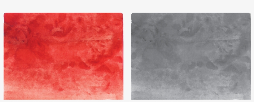 Two Watercolor Backgrounds Are Available For Use - Ohio Buckeye, transparent png download