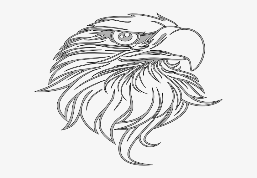 How To Set Use Grey Eagle Clipart, transparent png download
