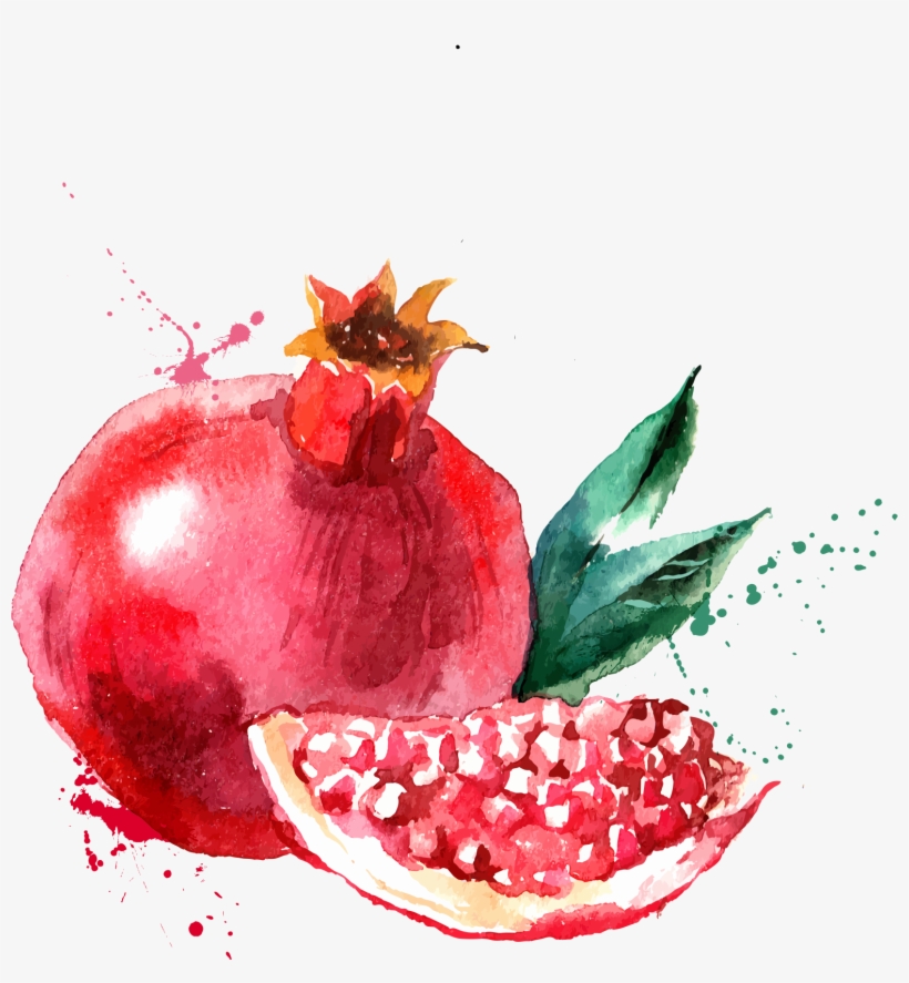 Watercolor Painting Drawing Fruit Illustration, transparent png download